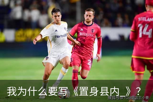 我为什么要写《置身县内 》？