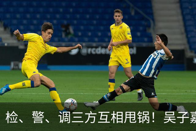 检、警、调三方互相甩锅！吴子嘉上演反击教科书，郑丽文可以效仿