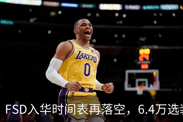 FSD入华时间表再落空，6.4万选装率仅1.5%